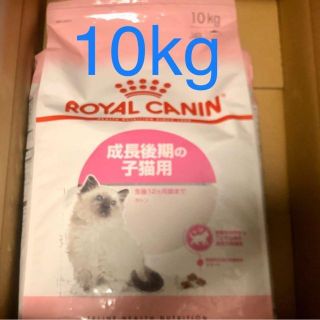 ロイヤルカナン(ROYAL CANIN)のロイヤルカナン キトン ROYAL CANIN 10kg×1 新品未開封(ペットフード)