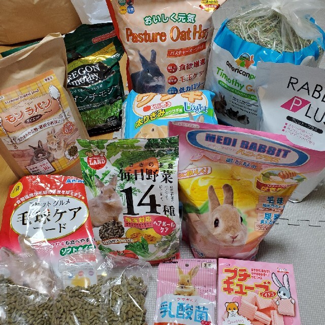 2セット‼️専用ページ❗うさぎさん豪華セット‼️