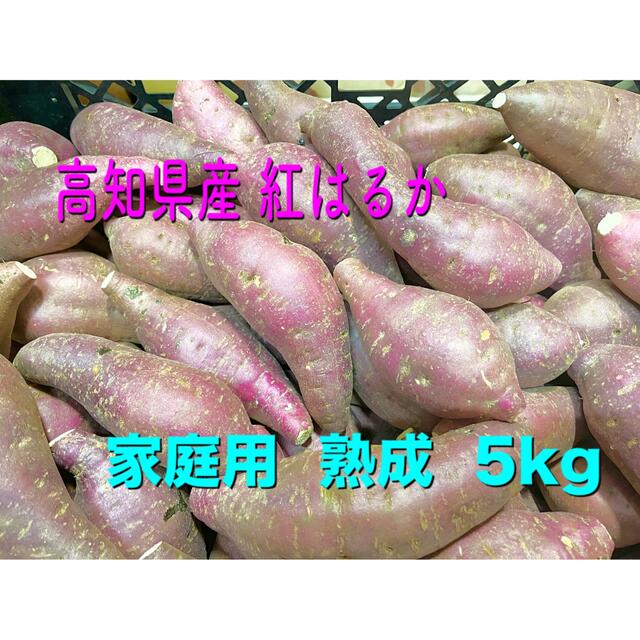 5kg　紅はるか　お得!!焼き芋屋さんの熟成芋◎訳あり　野菜　さつまいも　F