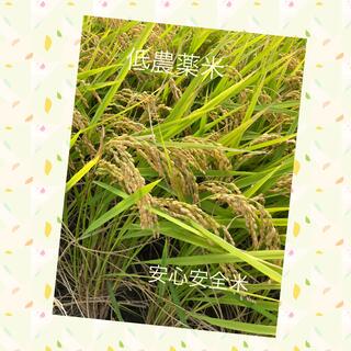 低農薬 令和3年産あきさかり 玄米5キロ(米/穀物)