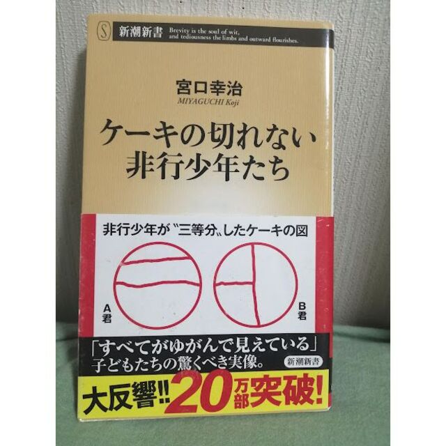 「ケーキの切れない非行少年たち」 宮口幸治 エンタメ/ホビーの本(人文/社会)の商品写真