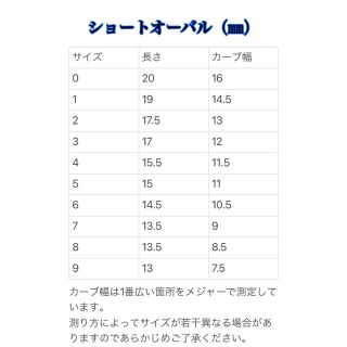 《No.159》ジェルネイル　ネイルチップ　千鳥格子 コスメ/美容のネイル(つけ爪/ネイルチップ)の商品写真