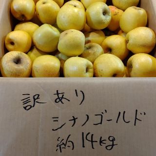 信州産　訳ありシナノゴールド　約１４キロ(フルーツ)