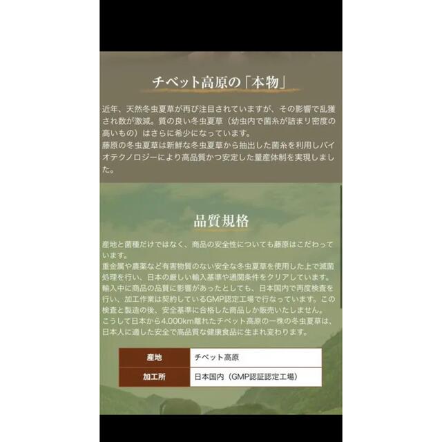ご養生セットたっぷり六ヶ月分!冬虫夏草菌糸100%使用カプセル剤(90粒