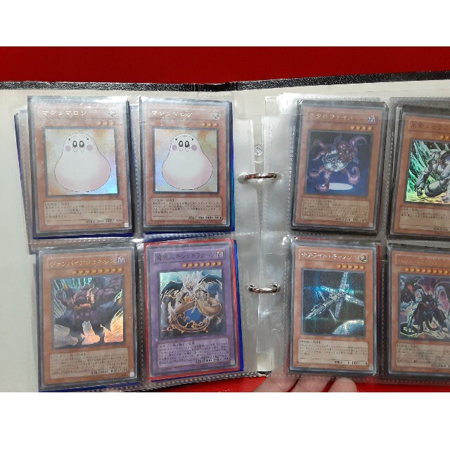 遊戯王 引退 ファイル デッキ | visitsantaflavia.it