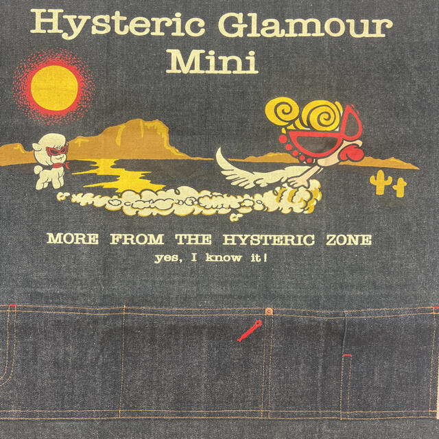 Hysteric Glamour  Mini  ヒスミニ  デニム　タペストリー 8