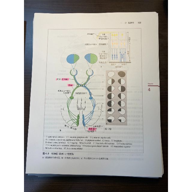 神経局在診断 その解剖,生理,臨床　第5版　※裁断済（スキャン・電子書籍化用） エンタメ/ホビーの本(健康/医学)の商品写真