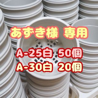 プラ鉢2.5号鉢【A-25】50個 他 スリット鉢 丸 プレステラ 多肉植物(プランター)