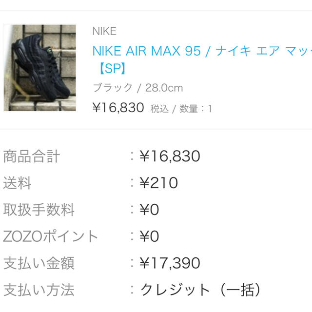 Nike airmax 95 BLACK 28cm 4