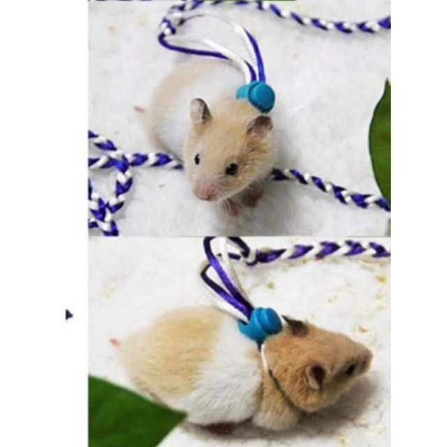 新品 小動物用ハーネス リード ラット ハムスター 新品☆小動物用ハーネス リード ハムスター ラット