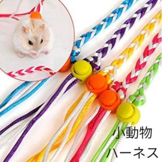 ２本　小動物ハーネス リード 小型ペット ハムスター 散歩 お出かけ 調節可能(小動物)