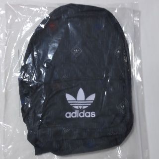 アディダス(adidas)のadidas  リュック(バッグパック/リュック)