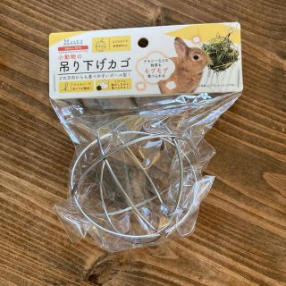 うさぎ　チモシー(小動物)