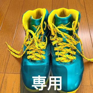 ミズノ(MIZUNO)のミズノ WAVE DIVERSE DE 25.0(その他)