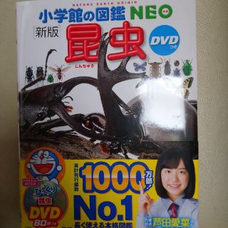 ショウガクカン(小学館)の☆金額変更品☆【新品未使用】昆虫 新版(絵本/児童書)