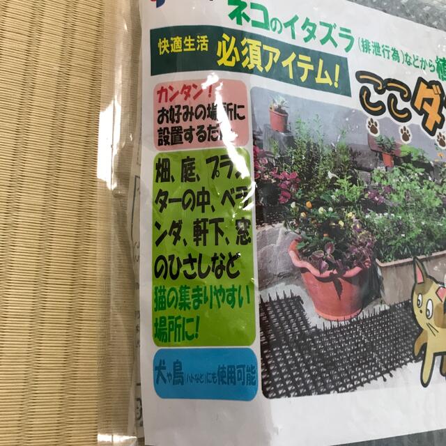 ネコのイタズラ　ここダメシート　4枚入り インテリア/住まい/日用品の日用品/生活雑貨/旅行(日用品/生活雑貨)の商品写真