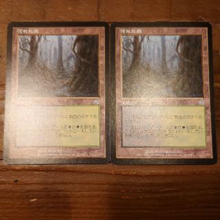 汚れた森 ２枚セット【MTG トーメント 土地 マジック：ザ・ギャザリング】