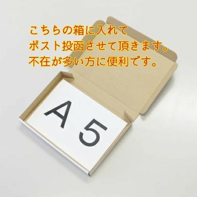 紀州南高梅完熟白干梅干し500g 食品/飲料/酒の加工食品(漬物)の商品写真