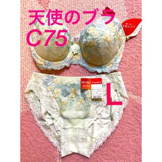 トリンプ(Triumph)のトリンプ  天使のブラ　ブラ&ショーツＬ　C75(ブラ&ショーツセット)