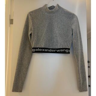 アレキサンダーワン(Alexander Wang)のAlexander Wang  クロップド　トップ(ニット/セーター)