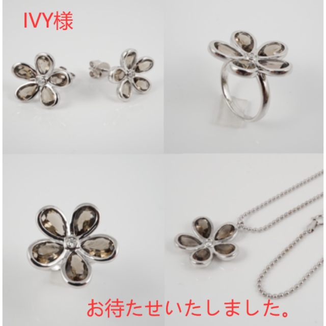 2022人気の ivy様 専用ページ ピアス - zoopalic.com