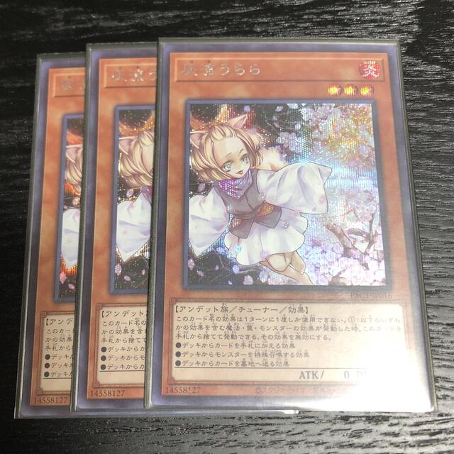 遊戯王 灰流うらら シークレットレア 3枚セット