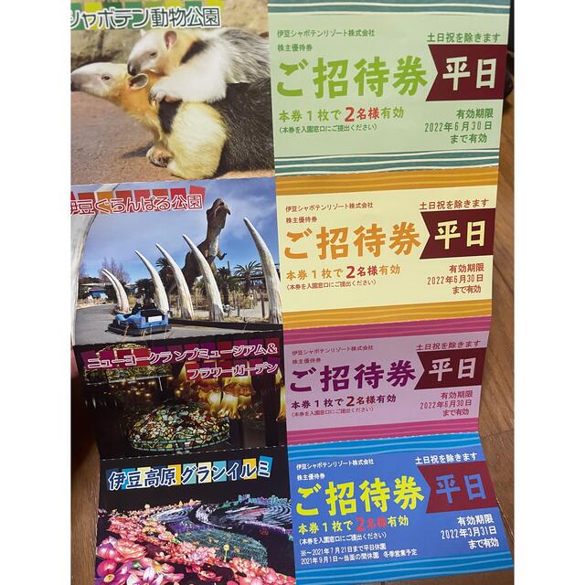 伊豆シャボテン動物公園 平日2名 全日1名 計3名分チケット T7EQ2dyJS6