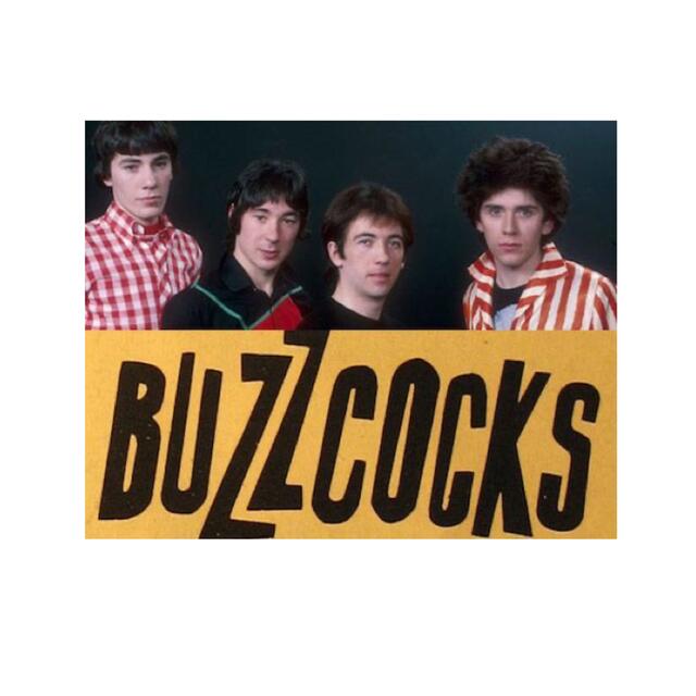 ▪️70’s【BUZZCOCKS】VINTAGE TEEのサムネイル