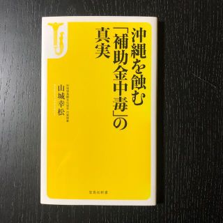 沖縄を蝕む「補助金中毒」の真実(その他)