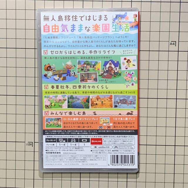 あつまれ どうぶつの森 Switch 1