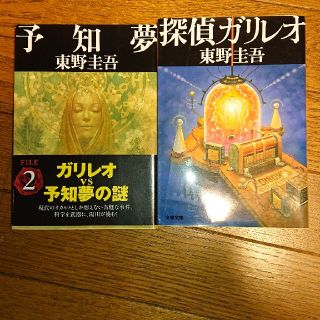 東野圭吾２冊セット③(文学/小説)