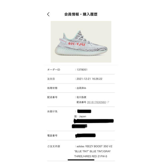 adidas(アディダス)のyeezy boost 350v2 blue tint メンズの靴/シューズ(スニーカー)の商品写真