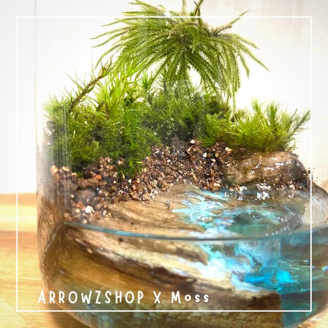 moss02】苔テラリウム 苔アート テラリウム 苔と海 レジンアート moss02】苔テラリウム 苔アート テラリウム 苔と海 レジンアート