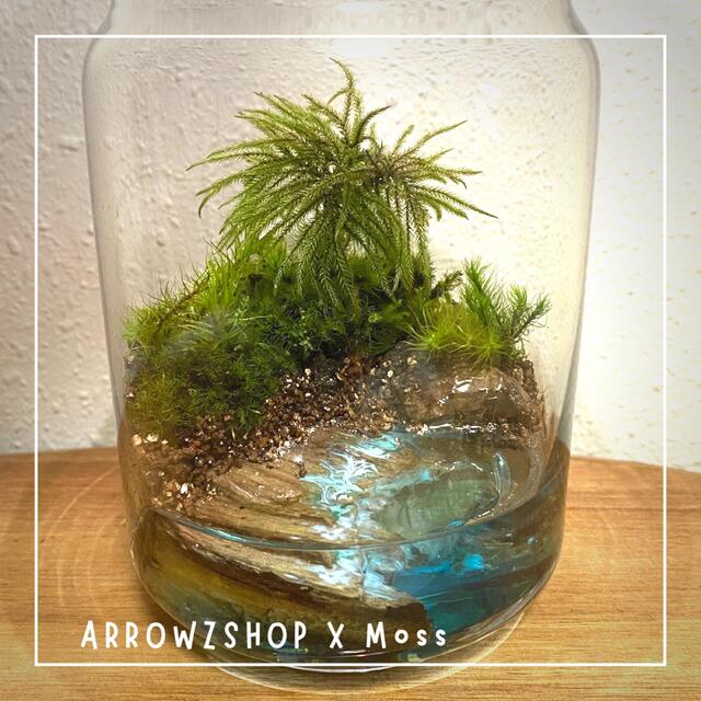 【moss02】苔テラリウム 苔アート テラリウム 苔と海　レジンアート　コケ