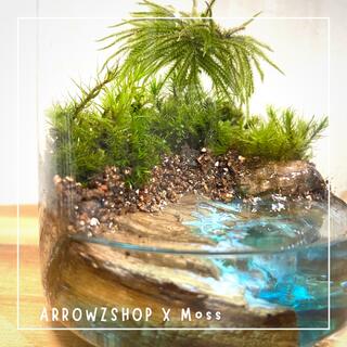 【moss02】苔テラリウム 苔アート テラリウム 苔と海　レジンアート　コケ