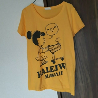 ハレイワ(HALEIWA)のPEANUTS　HALEIWA　Tシャツ　カットソー(Tシャツ(半袖/袖なし))