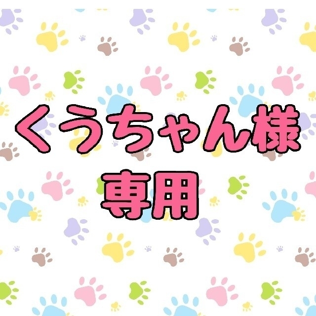 早い者勝ち くうちゃん様 専用 犬 - lpdc.gov.lb