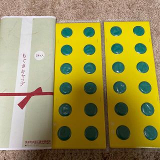 電子のお灸　もぐさキャップ24ヶ(その他)