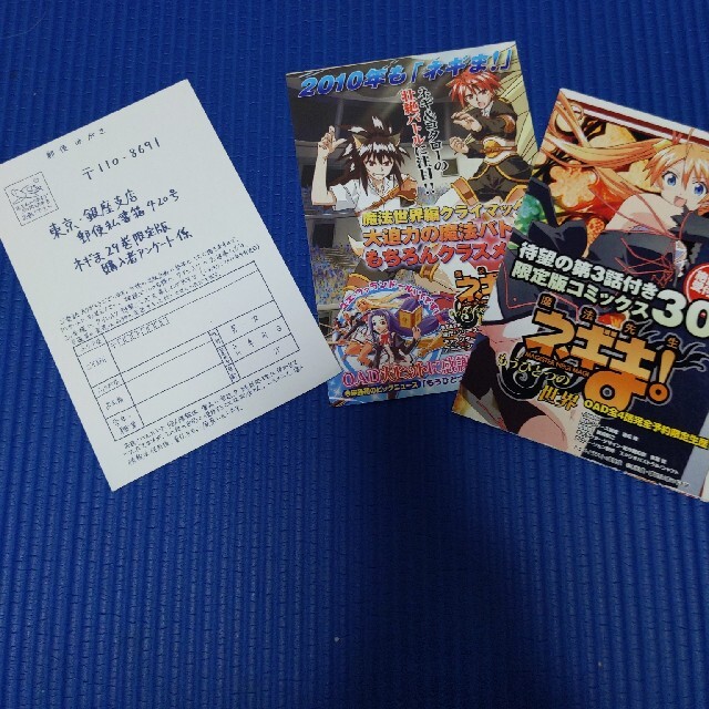 魔法先生ネギま 限定版29巻 KCM限定版 魔法先生ネギま! DVD セット 29巻以外未開封