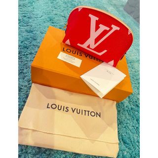 ルイヴィトン(LOUIS VUITTON)のLOUIS VUITTON(ポーチ)