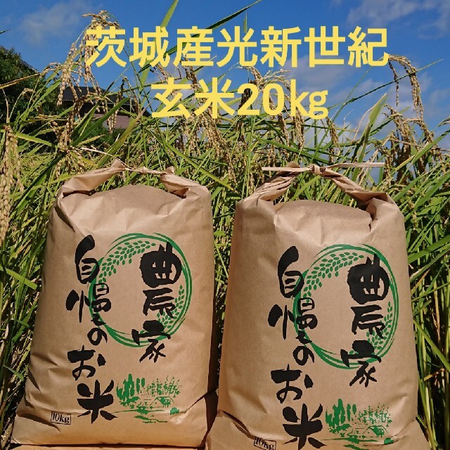 茨城令和3年産光新世紀玄米20㎏　米/穀物