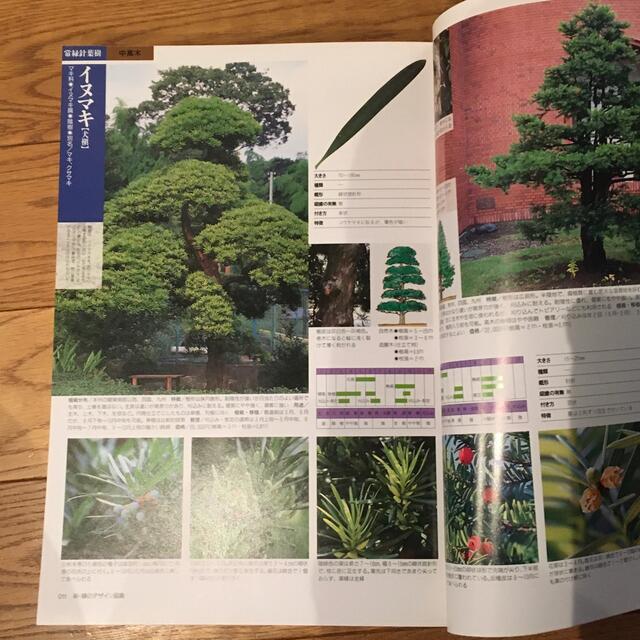 新・緑のデザイン図鑑 樹木・植栽・庭づくりのテクニック エンタメ/ホビーの本(科学/技術)の商品写真