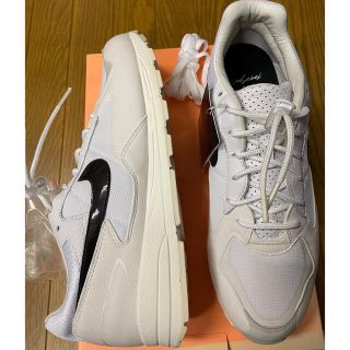 フィアオブゴッド(FEAR OF GOD)の新品激レア! NIKE AIRSKYLON FOG 29 FEAR OF GOD(スニーカー)