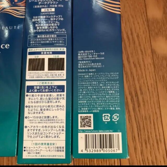 フューチャーラボ ヘアボーテ シーエッセンスカラーフォーム ダーク