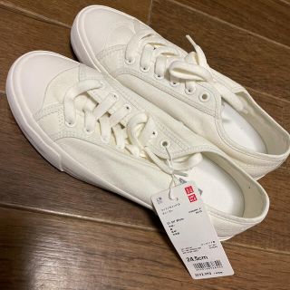 ユニクロ(UNIQLO)のユニクロ　24.5センチスニーカー(スニーカー)