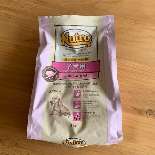 ニュートロ ナチュラルチョイス 子犬用 1kg(ペットフード)