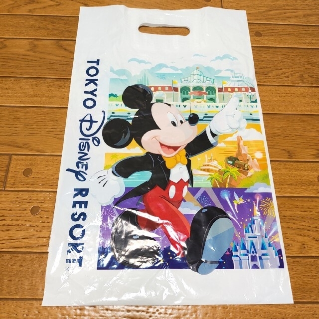 Disney(ディズニー)のちゃんちか様専用 エンタメ/ホビーのおもちゃ/ぬいぐるみ(キャラクターグッズ)の商品写真