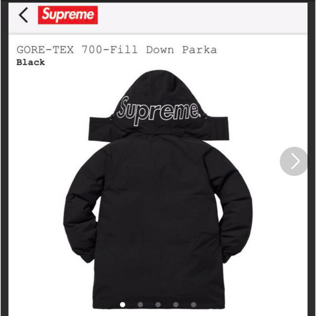 Supreme(シュプリーム)のSupreme GORE-TEX 700-Fill Down Parka XL メンズのジャケット/アウター(ダウンジャケット)の商品写真