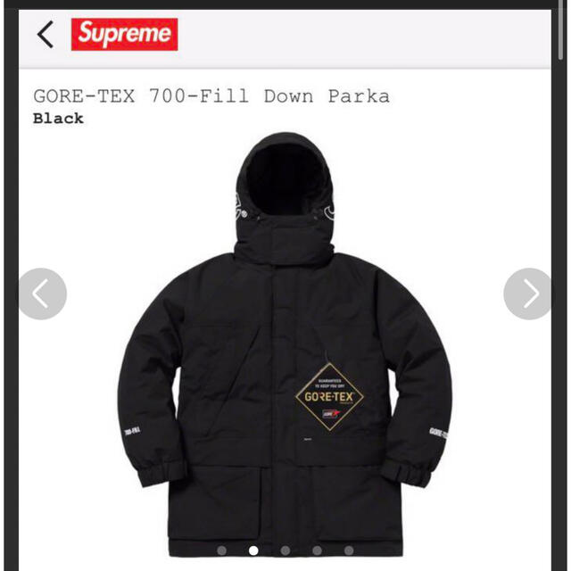 Supreme(シュプリーム)のSupreme GORE-TEX 700-Fill Down Parka XL メンズのジャケット/アウター(ダウンジャケット)の商品写真