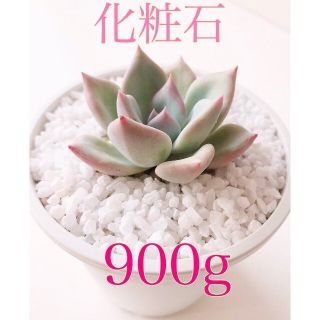 寒水石 (化粧石) 4mm❤900g❤純白色最高級寒水石　白　多肉　観葉　寒水砂(その他)